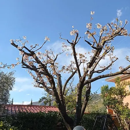 Apartamento Il Giardino Di Patrizia