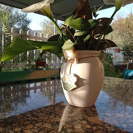 Il Giardino Di Patrizia Apartamento Querceta