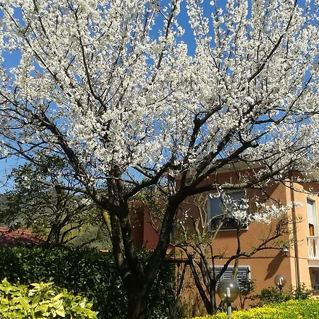 Апартаменты Il Giardino Di Patrizia